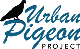 Urban Pigeon Project
