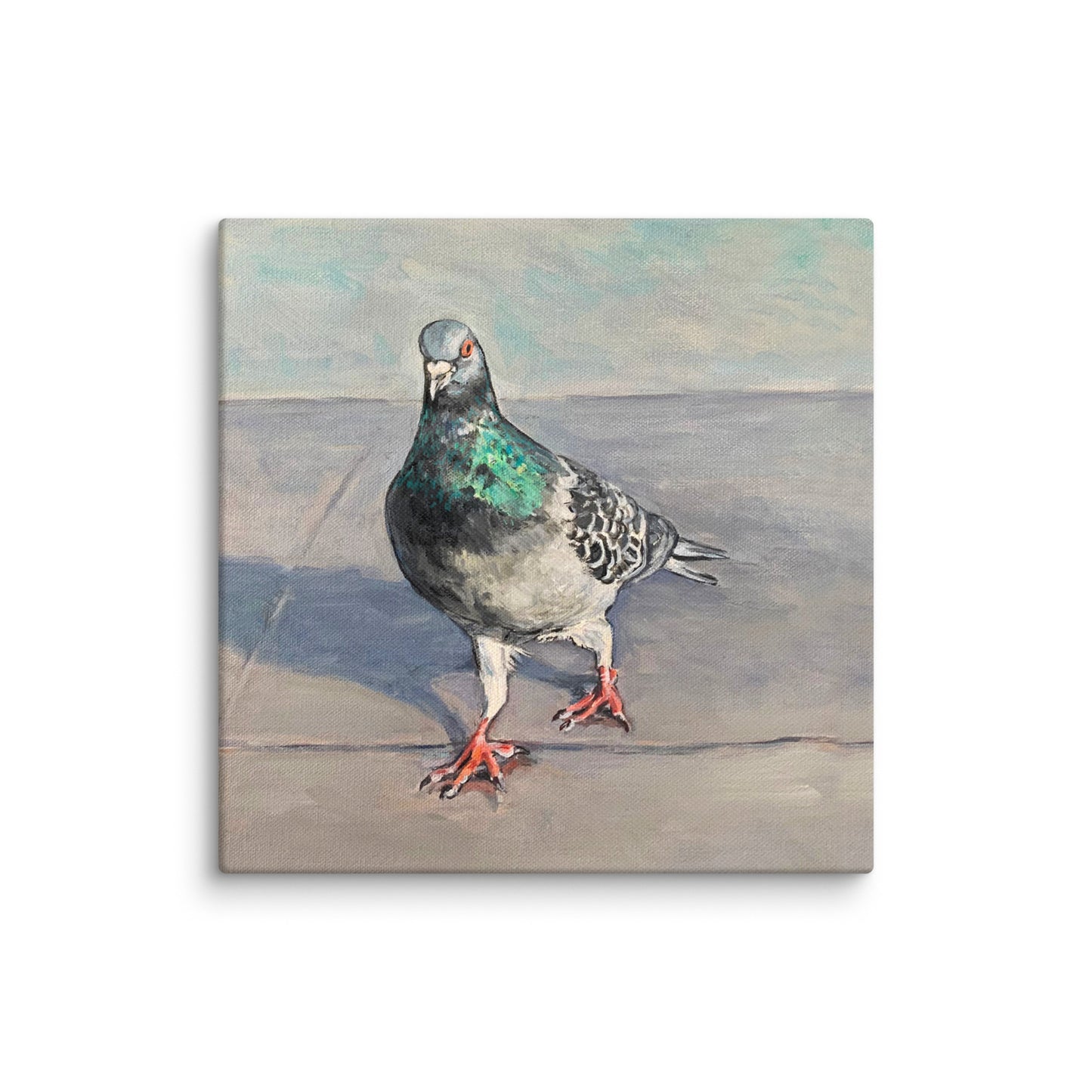 High Quality Print on Canvas - Scottish Pigeon
