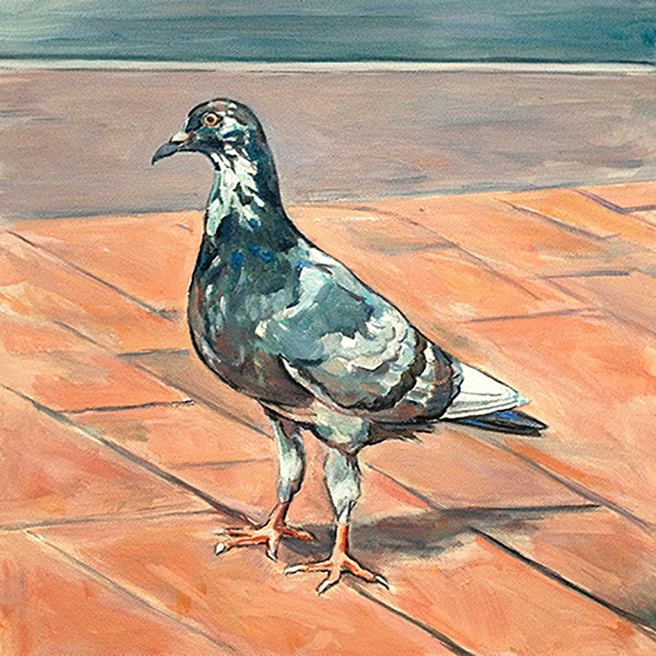 Long-Legged Pigeon, Oil on Canvas, 12in x 12in — Soho, NYC, NY