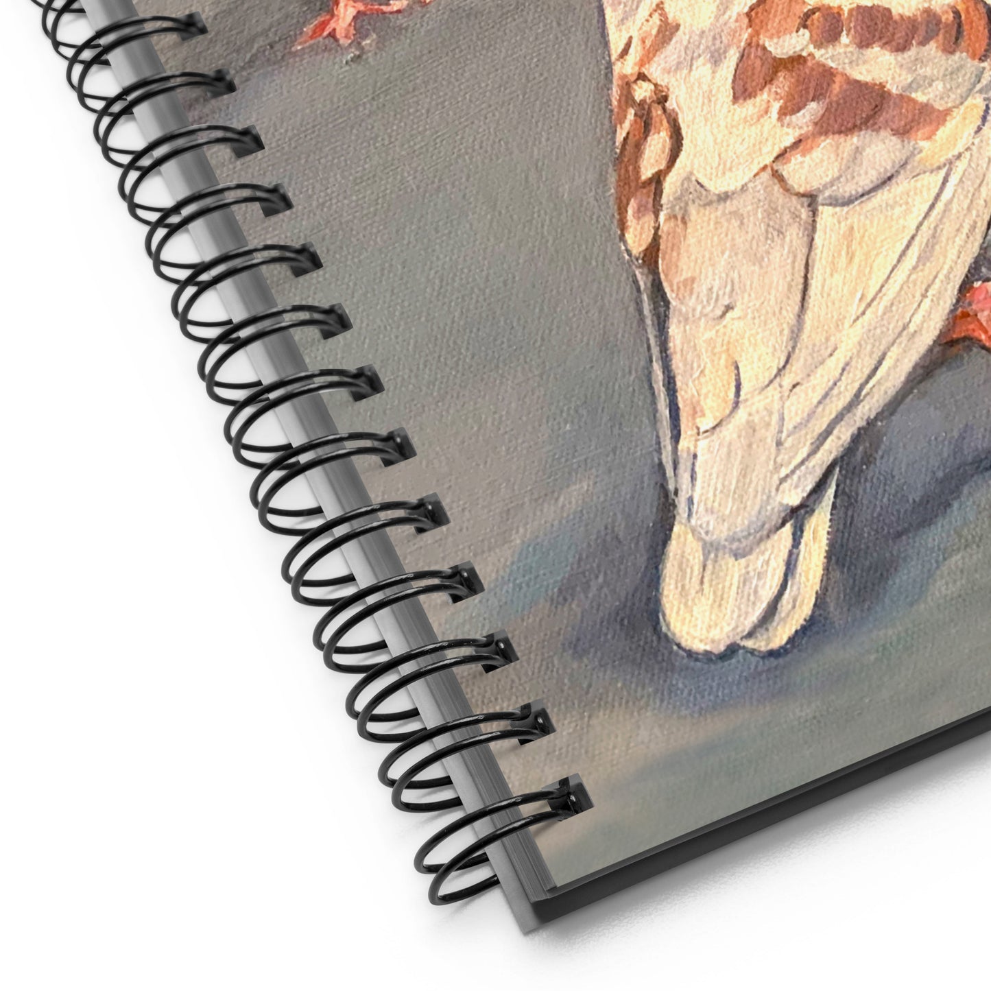 Spiral notebook with Pigeons of Taormina, Sicily