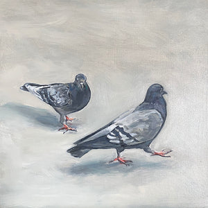 Pigeons of Florence, Oil on Canvas, 12in x12in — Florence, Italy