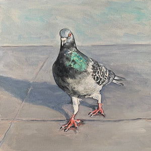 Scottish Pigeon Taking a Stroll, Oil on Canvas, 12in x 12in — Glasgow, Scotland 