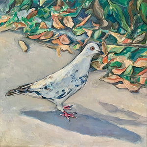 White Pigeon in Fall, Oil on Canvas, 12in x 12in — Jersey City, NJ
