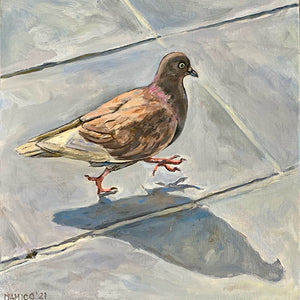Pigeon on the Go, Oil on Canvas, 12in x 12in — Málaga, Spain