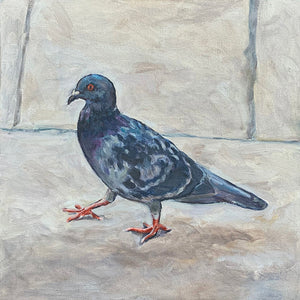 Palermo Pigeon I, Oil on Canvas, 12in x12in — Palermo, Sicily, Italy