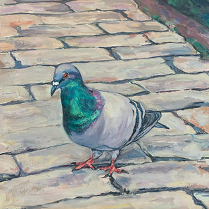 Palermo Pigeon II, Oil on Canvas, 12in x 12in — Palermo, Sicily, Italy
