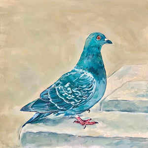Parisian Pigeon, Oil on Canvas, 12in x 12in — Paris, France