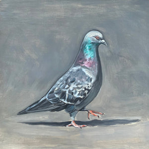Pigeon Strutting His Stuff, Oil on Wood, 9in x 9in — NYC, NY