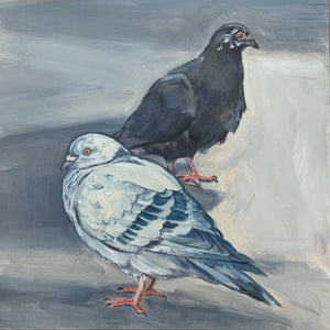Black and White Pigeons,  Oil on Wood, 9in x 9in — NYC, NY