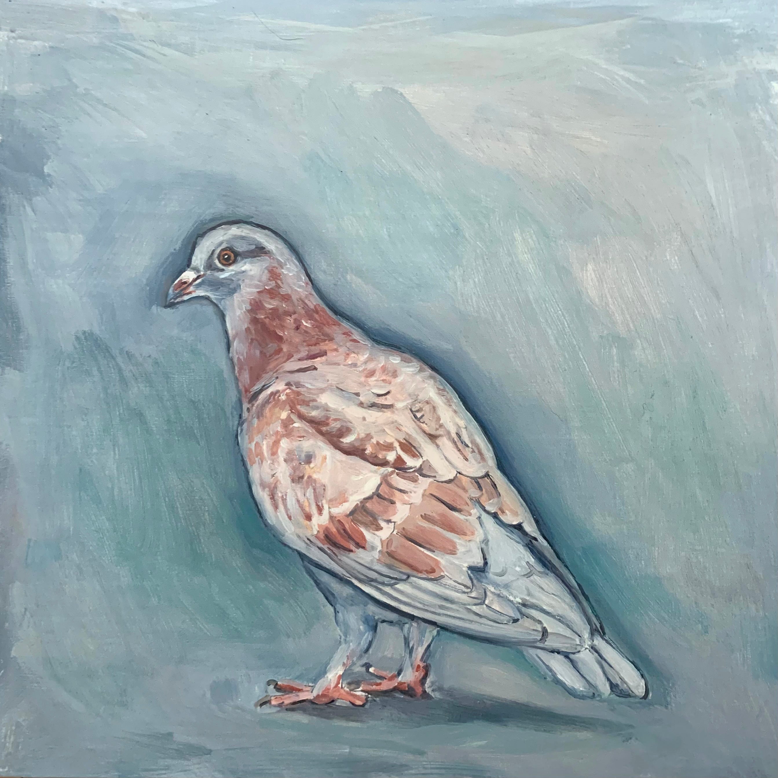 Original Art Urban Pigeon Project original-art-urban-pigeon-project