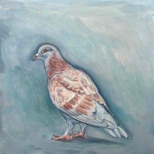 Pigeon with A Sweet Face,  Oil on Wood, 9in x 9in — NYC, NY 
