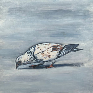 Speckled White Pigeon, Oil on Wood, 9in x9in — NYC, NY (SOLD)