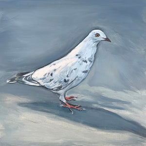 White Pigeon, Oil on Wood, 9in x 9in — Jersey City, NJ