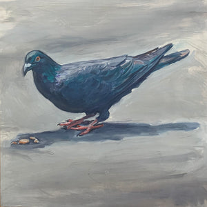 Pigeon Staring, Oil on Wood, 9in x 9in — Jersey City, NJ 