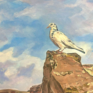 Pigeon of Pompeii II, 24in x 36in, Pompeii, Italy