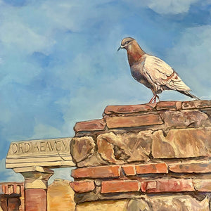 Pigeon of Pompeii III, 24in x 36in, Pompeii, Italy