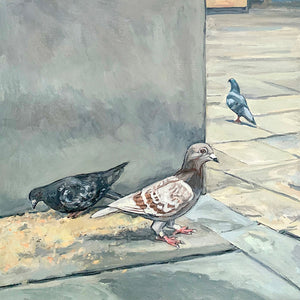 Three Pigeons, Oil on Canvas, 12in x 12in — Shrewsbury, UK