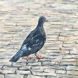 Pigeon Walking on Cobblestones, Oil on Canvas, 12iin x 12in — Tábua, Portugal