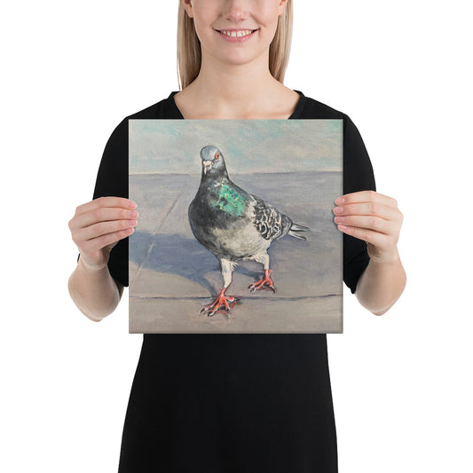 High Quality Print on Canvas - Scottish Pigeon