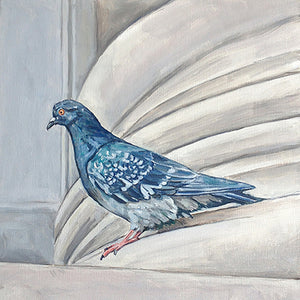 Metropolitan Museum of Art Pigeon I, Oil on Canvas, 12in x 12in — NYC, NY 