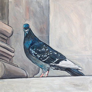 Metropolitan Museum of Art Pigeon II, Oil on Canvas, 12in x 12in — NYC, NY 