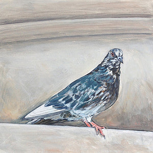 Metropolitan Museum of Art Pigeon III, Oil on Canvas, 12in x 12in — NYC, NY 