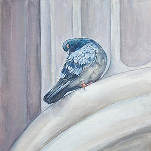 Metropolitan Museum of Art Pigeon IV, Oil on Canvas, 12in x 12in — NYC, NY 