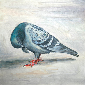 Pigeon Cleaning Feathers, Oil on Wood, 9in x9in — NYC, NY (SOLD)