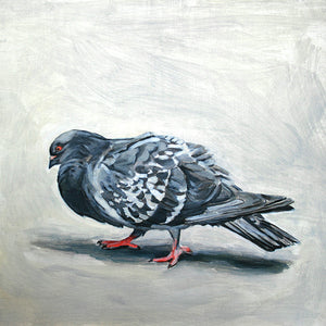 Male Pigeon, Oil on Wood, 9in x 9in —NYC, NY (SOLD)