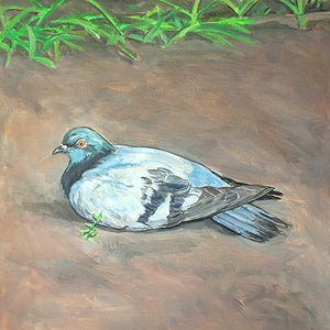 Resting Female Pigeon, Oil on Canvas, 12in x 12in — Jersey City, NJ