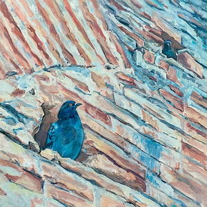 Teatro Antico di Taormina Pigeons, Oil on Canvas, 12in x12in —Taormina, Sicily, Italy